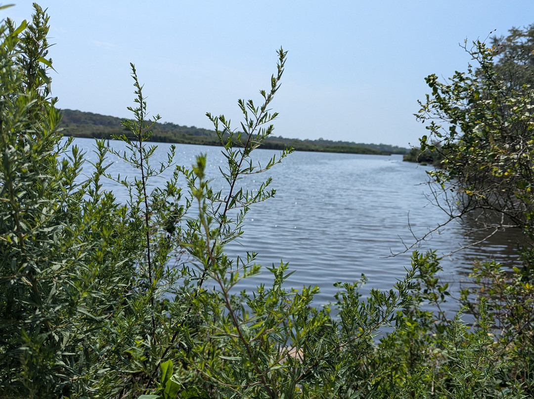 Wertheim National Wildlife Refuge-Shirley必去景点