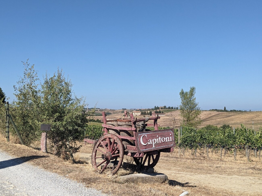 Capitoni Marco Azienda Agraria-皮恩扎必去景点