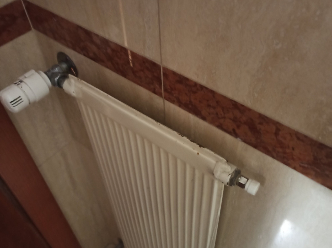 Crystal Hotel Varese主图