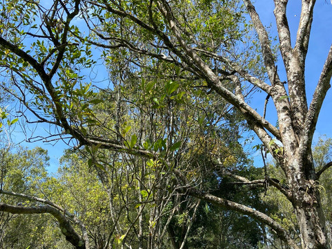 Kalibendo Eco Tourism-巴纽旺宣必去景点