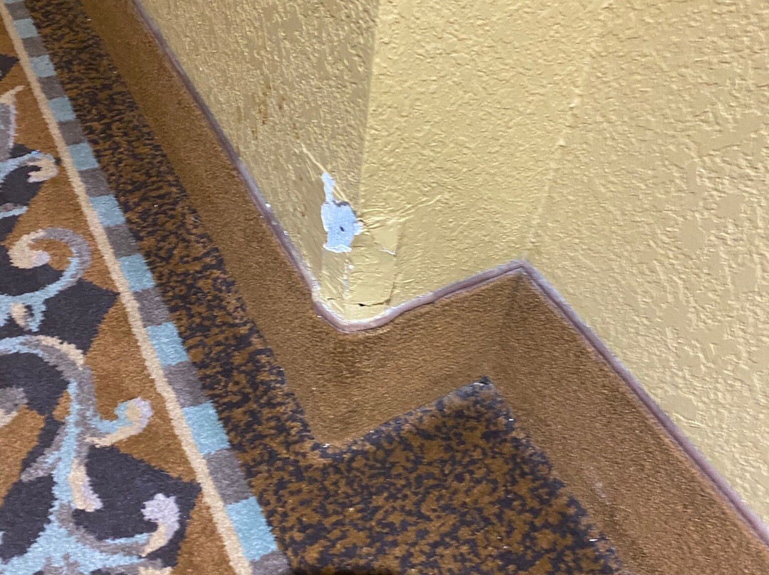 La Quinta Inn & Suites by Wyndham Vicksburg主图