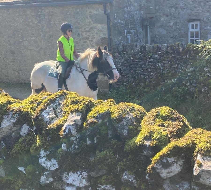 Kilnsey Trekking & Riding Centre景点图片