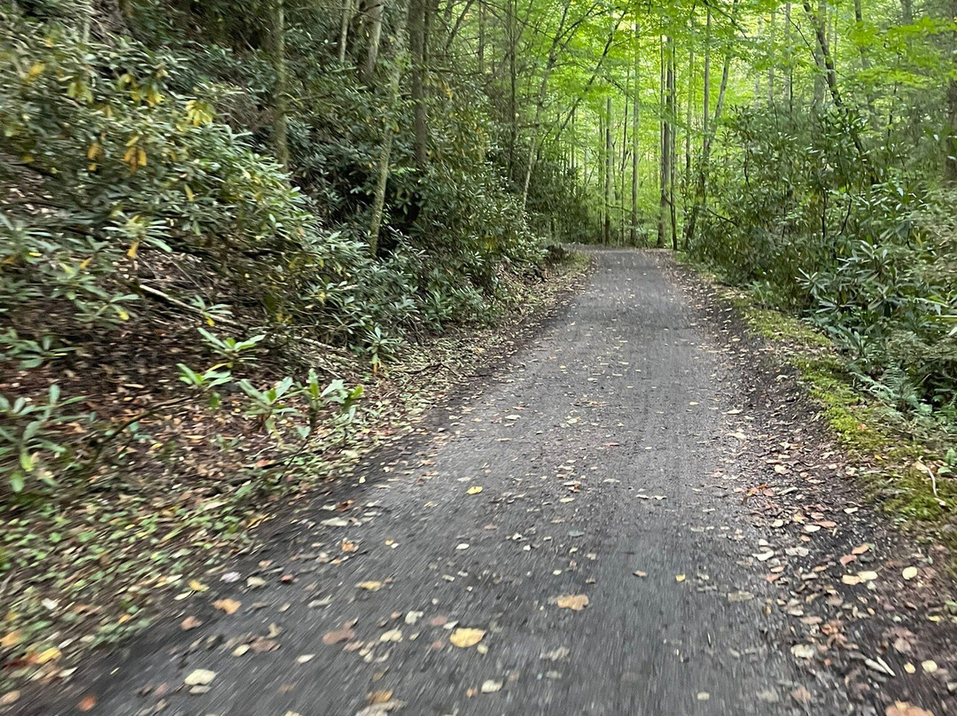 The Bike Station-Damascus必去景点