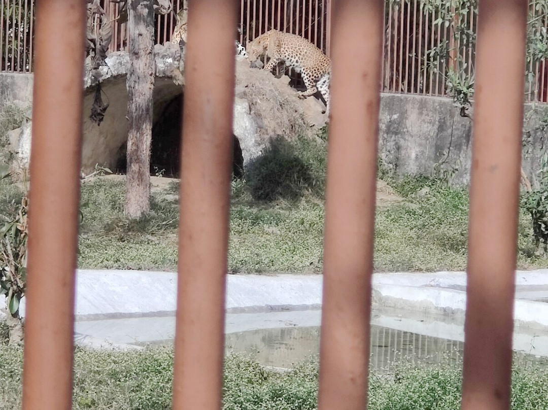 White Tiger Safari Rewa景点图片