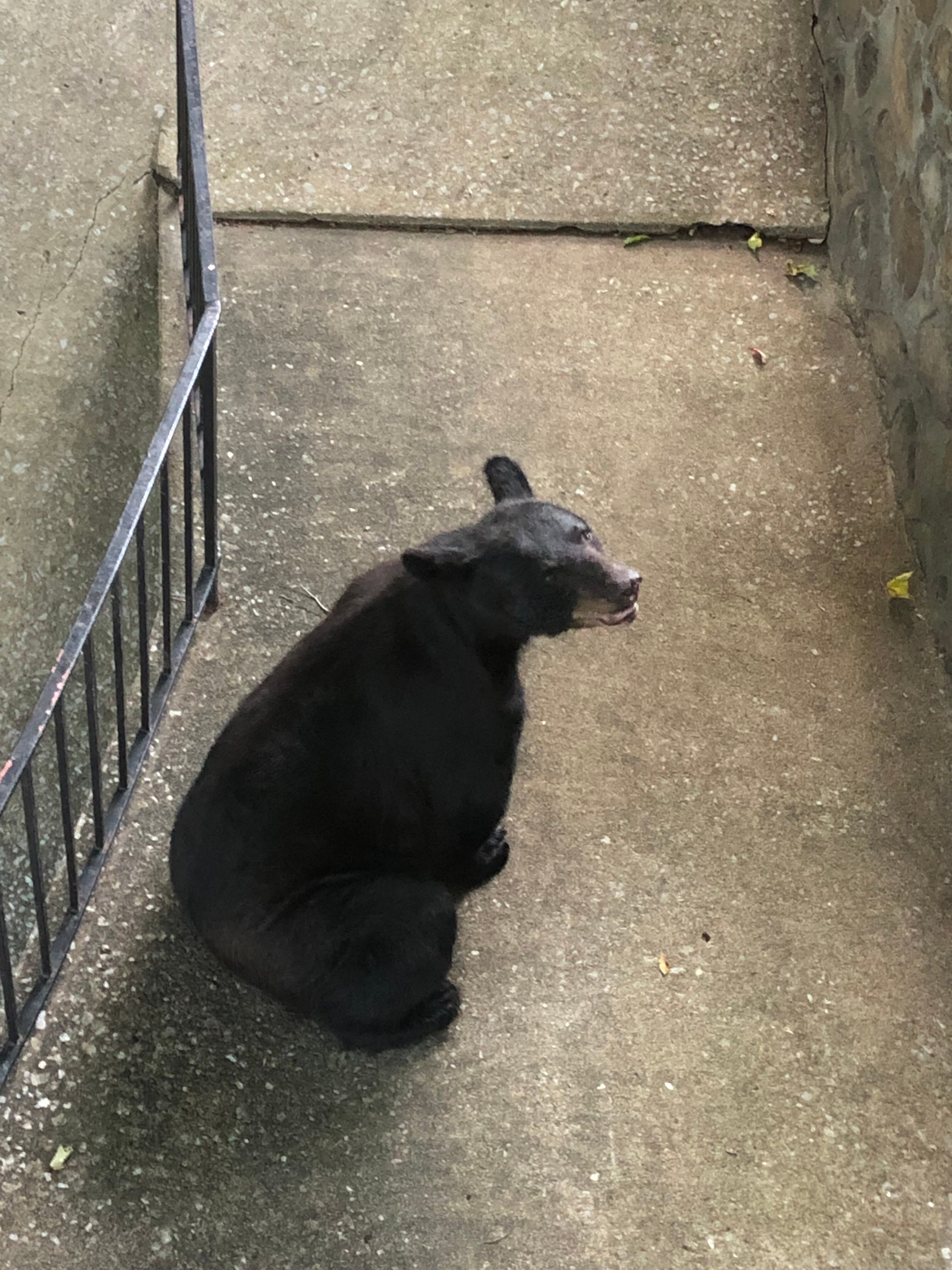 Carr's Northside Cottages & Motel-酒店景观