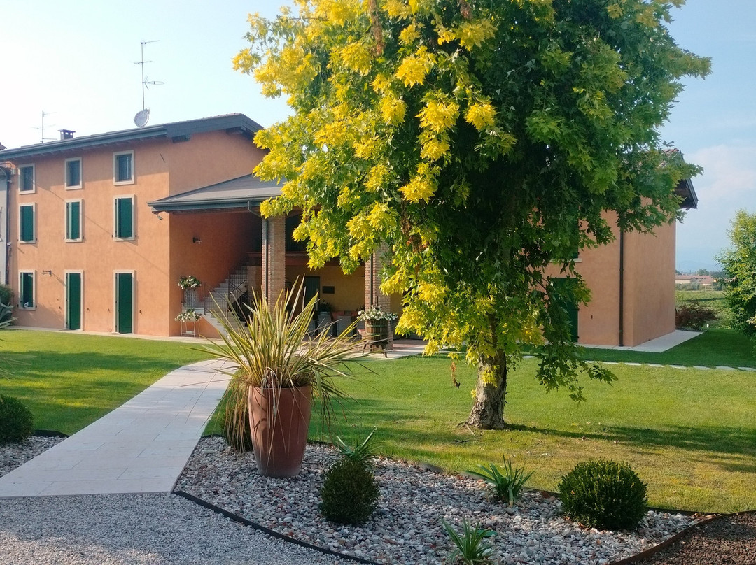 Agriturismo Corte Zenati主图