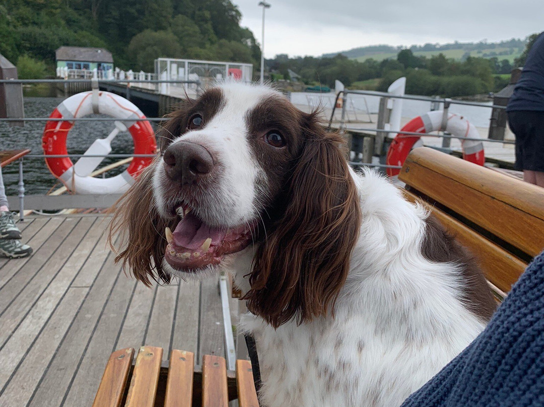 Ullswater Steamers景点图片