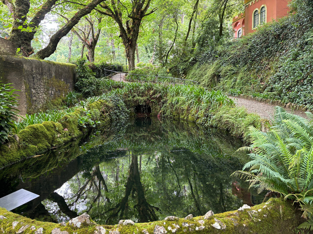 Vale dos Lagos at Parque de Pena景点图片