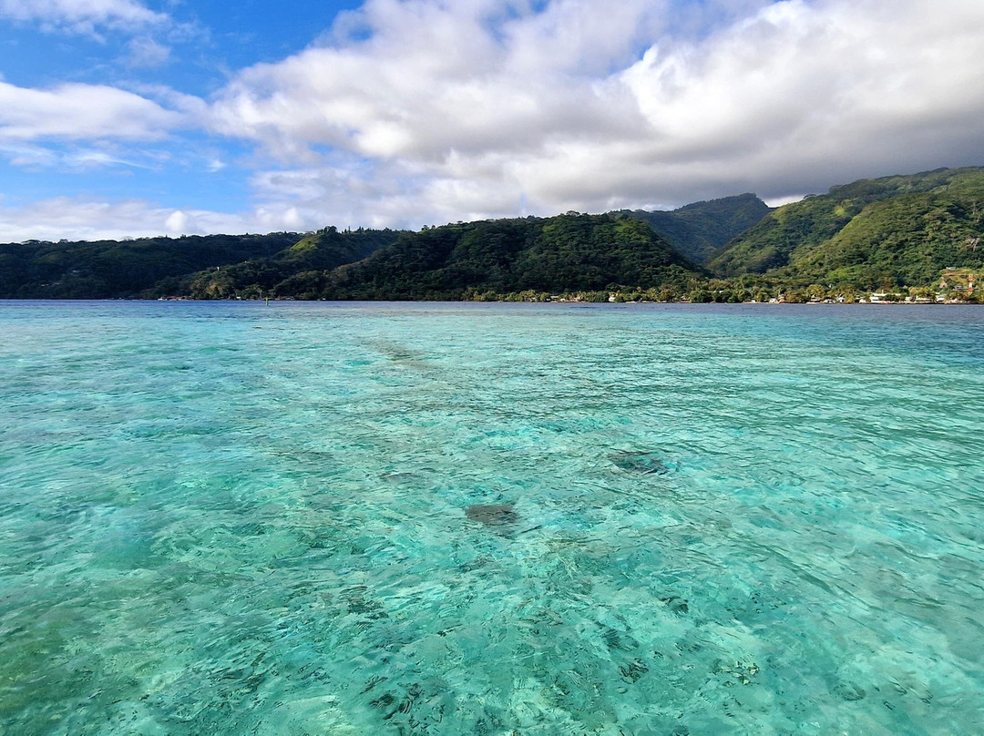 Tahiti Boat Excursion & Surf景点图片