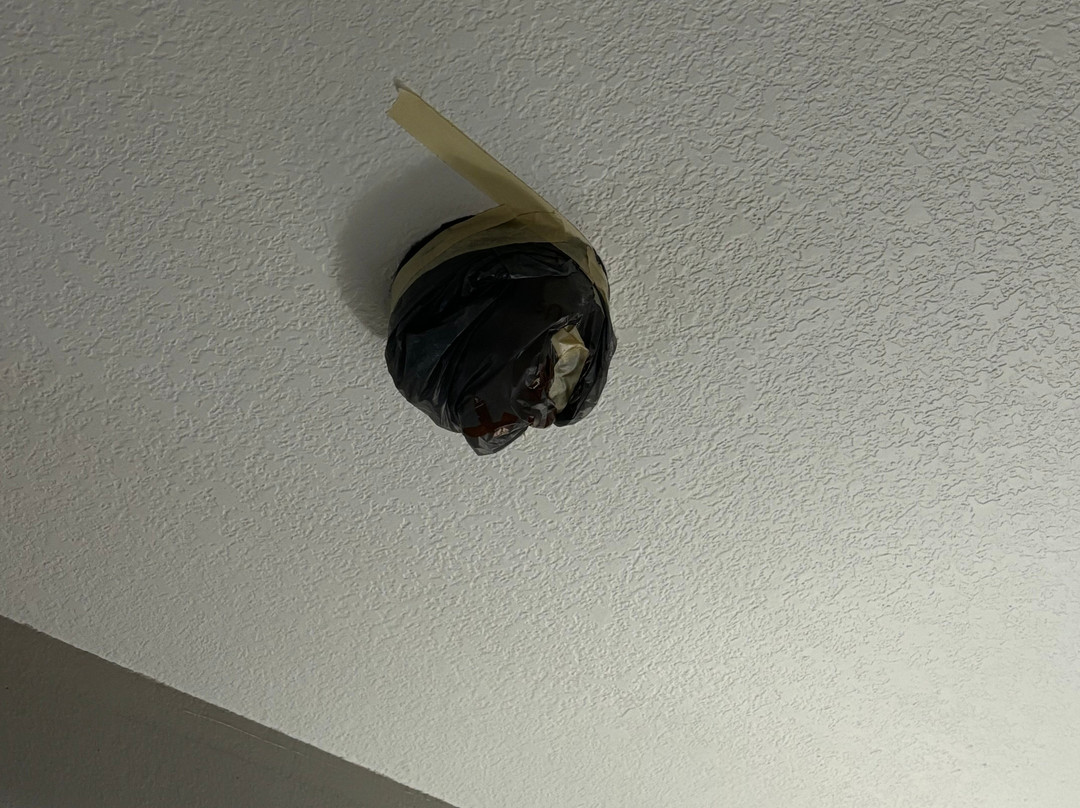 La Quinta Inn & Suites by Wyndham Kyle - Austin South主图