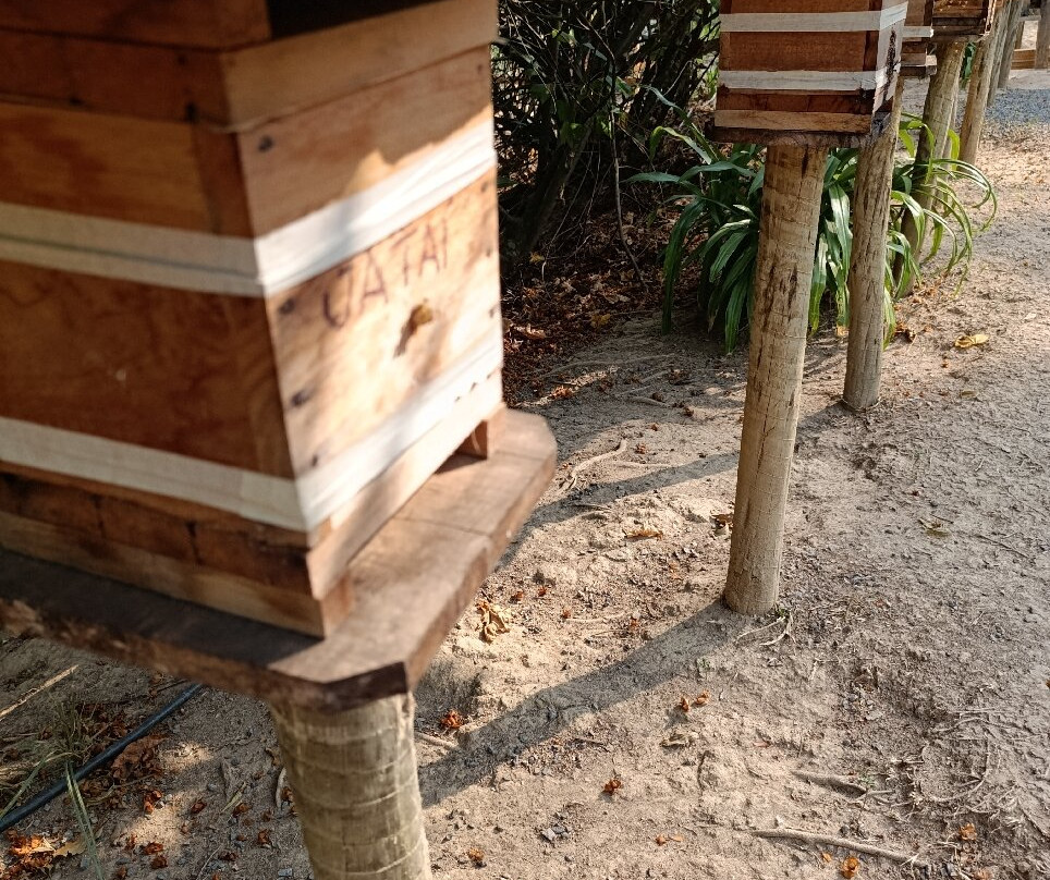 Apiário Flores da Serra-蒙特贝尔德必去景点