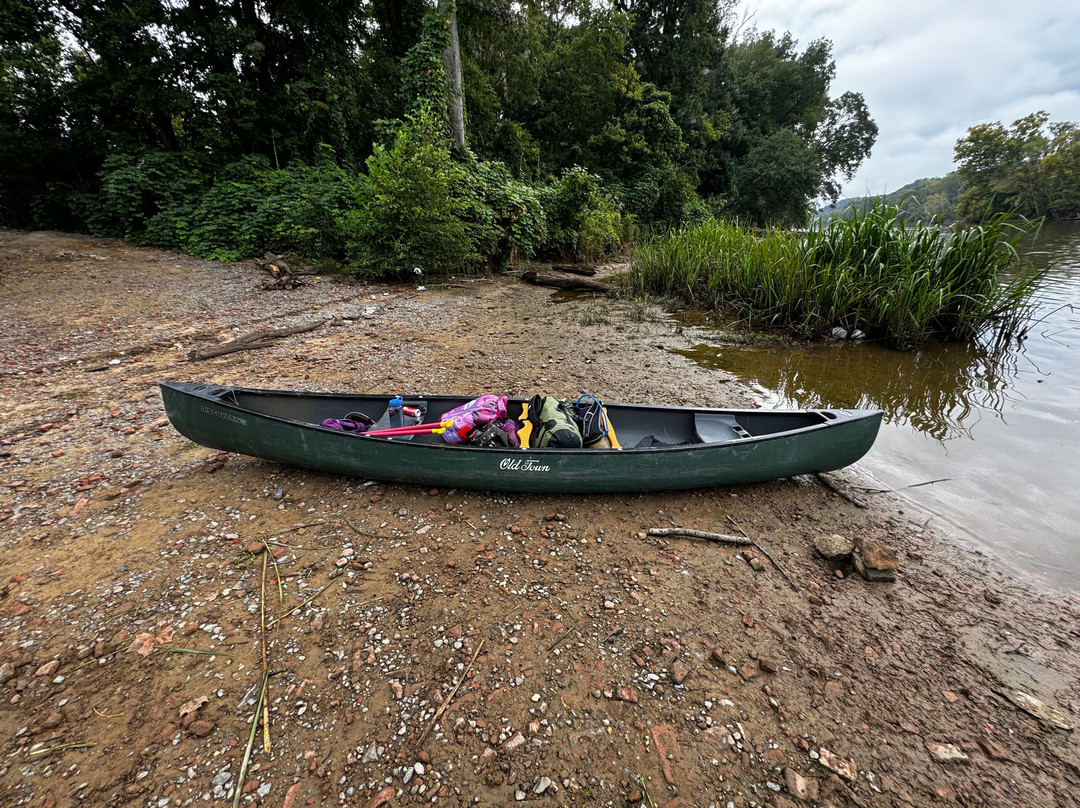 Cape Fear River Adventures, LLC景点图片