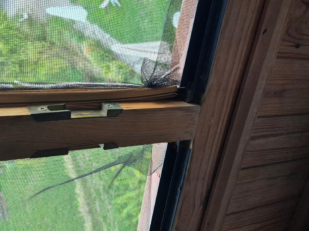 La Jayma del Arte主图