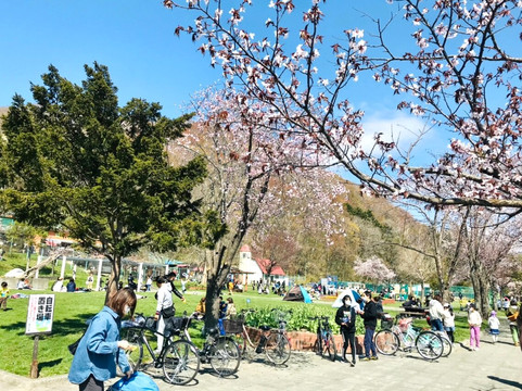 Kuriyama Park-栗山町必去景点
