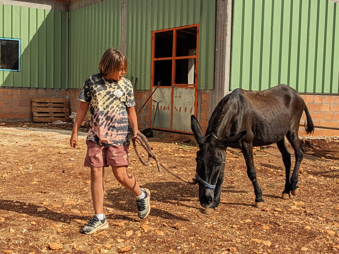 Donkey Trekking Kefalonia-萨米必去景点
