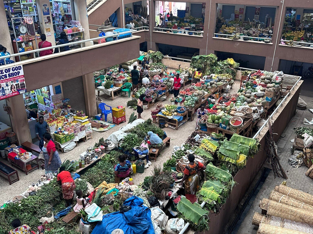 Gorilla Safari Consultants-坎帕拉必去景点