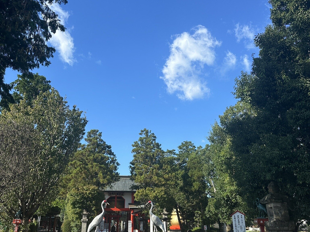 Hakozaki Hachiman Shrine-出水市必去景点
