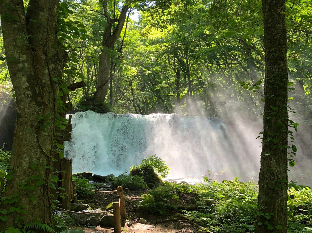 Choshi Otaki Waterfall景点图片