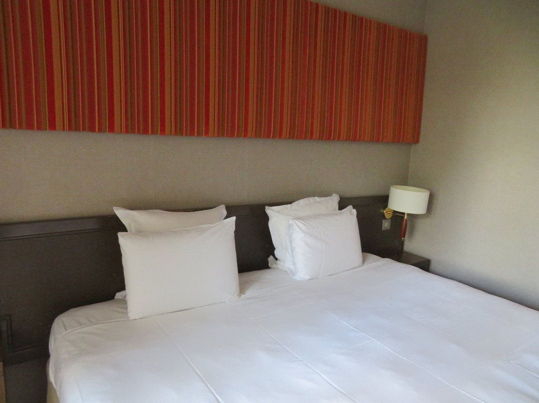 翠普巴黎布洛涅酒店主图