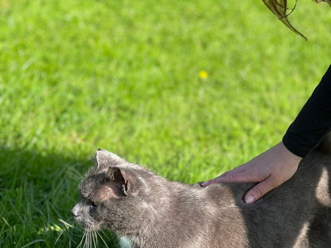 WildOslo-奥斯陆必去景点