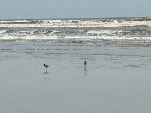 Dunas do Araçá-Ilha Comprida必去景点