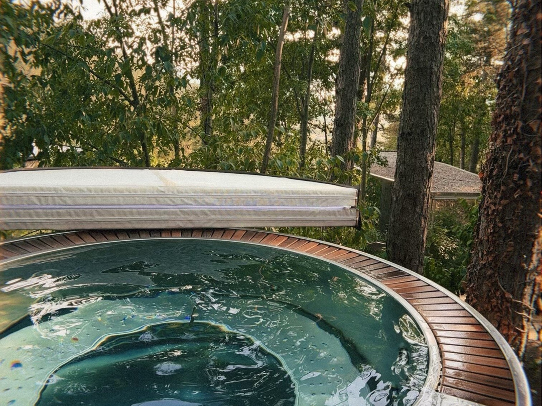 Theodosius Forest Village主图