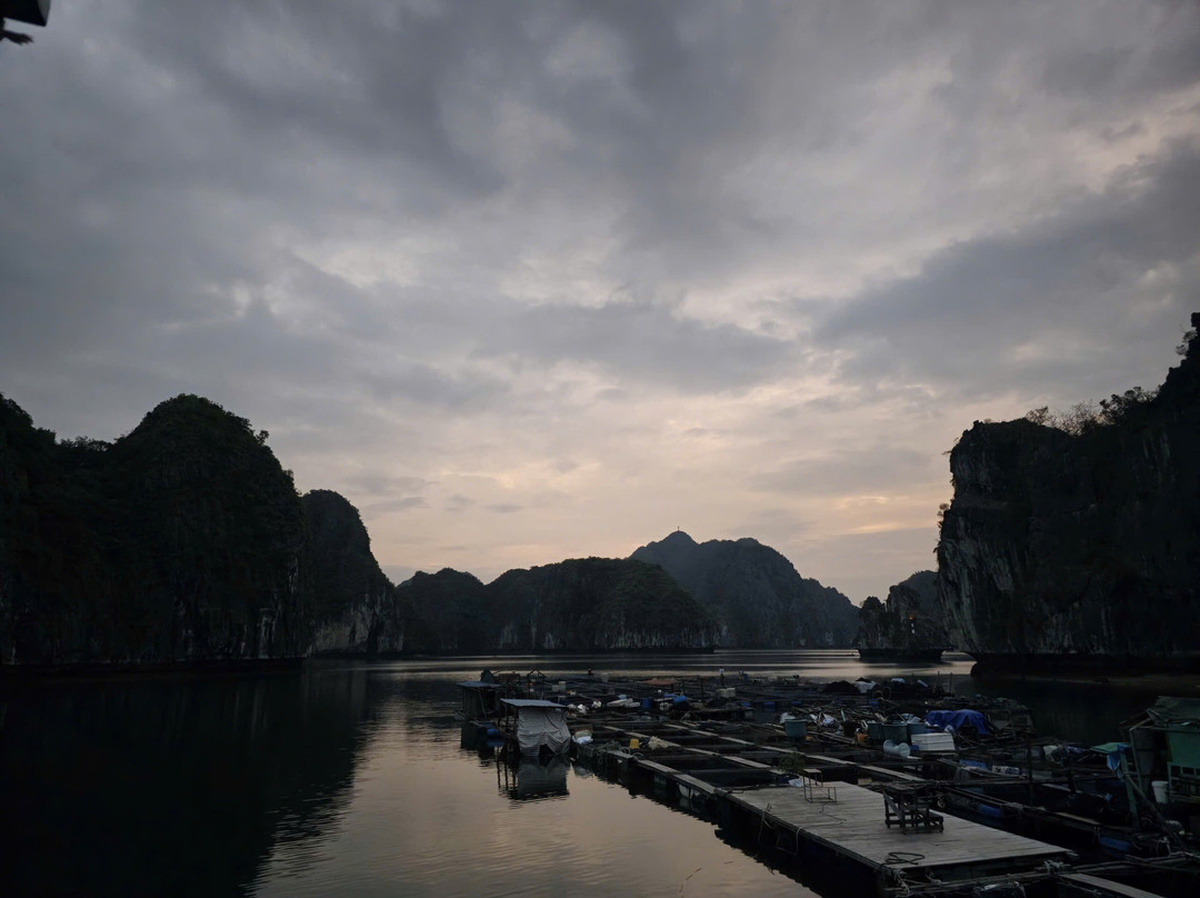 Cat Ba Local-Cat Ba Town必去景点