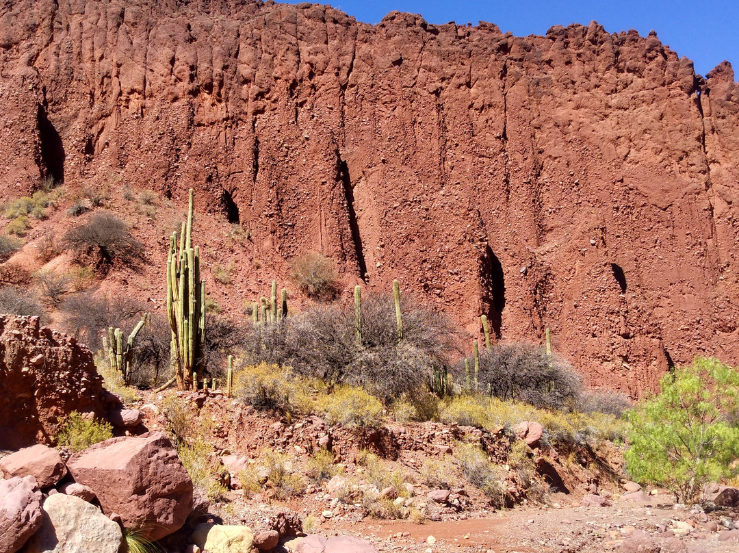 Valle Hermoso Tours-Tupiza必去景点