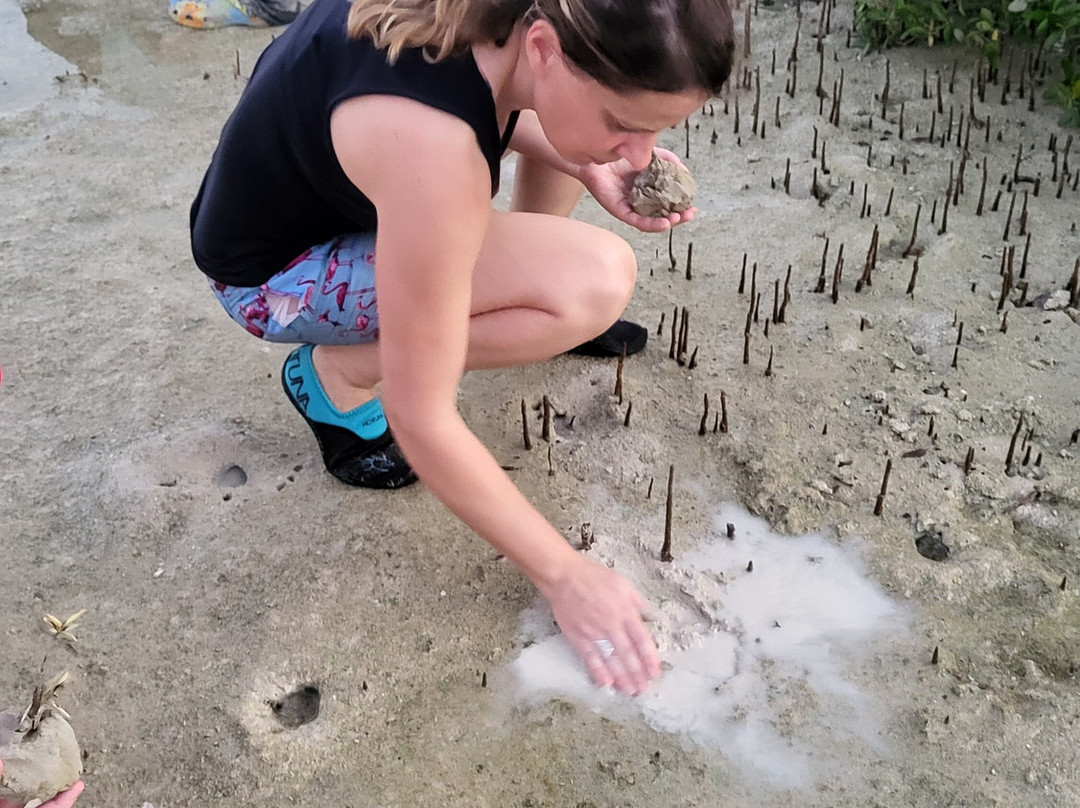 Aquasports Qatar-多哈必去景点