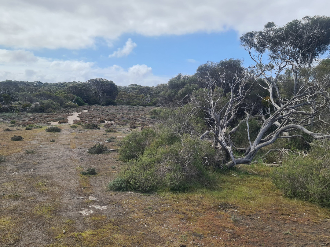 Bonney Reserve Nature Trail景点图片