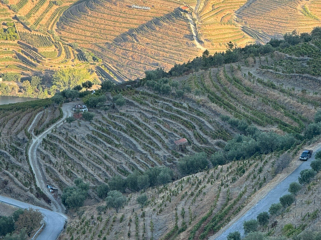 Quinta Do Fraguil - Douro Valley景点图片