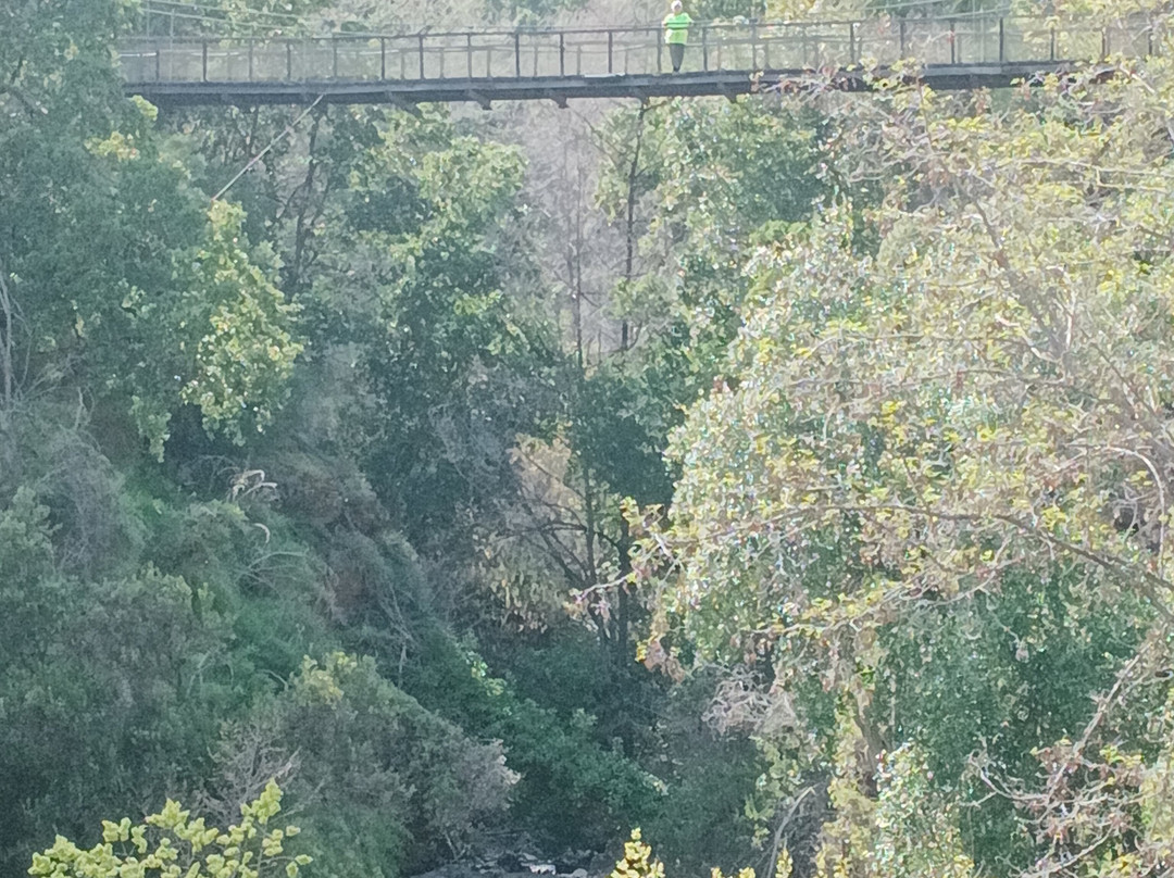 Termas de Cauquenes主图