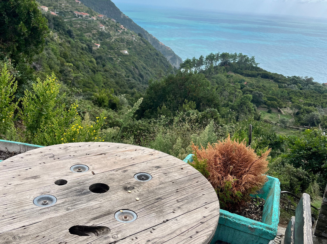 Bar il Giardino-里奥马焦雷必去景点