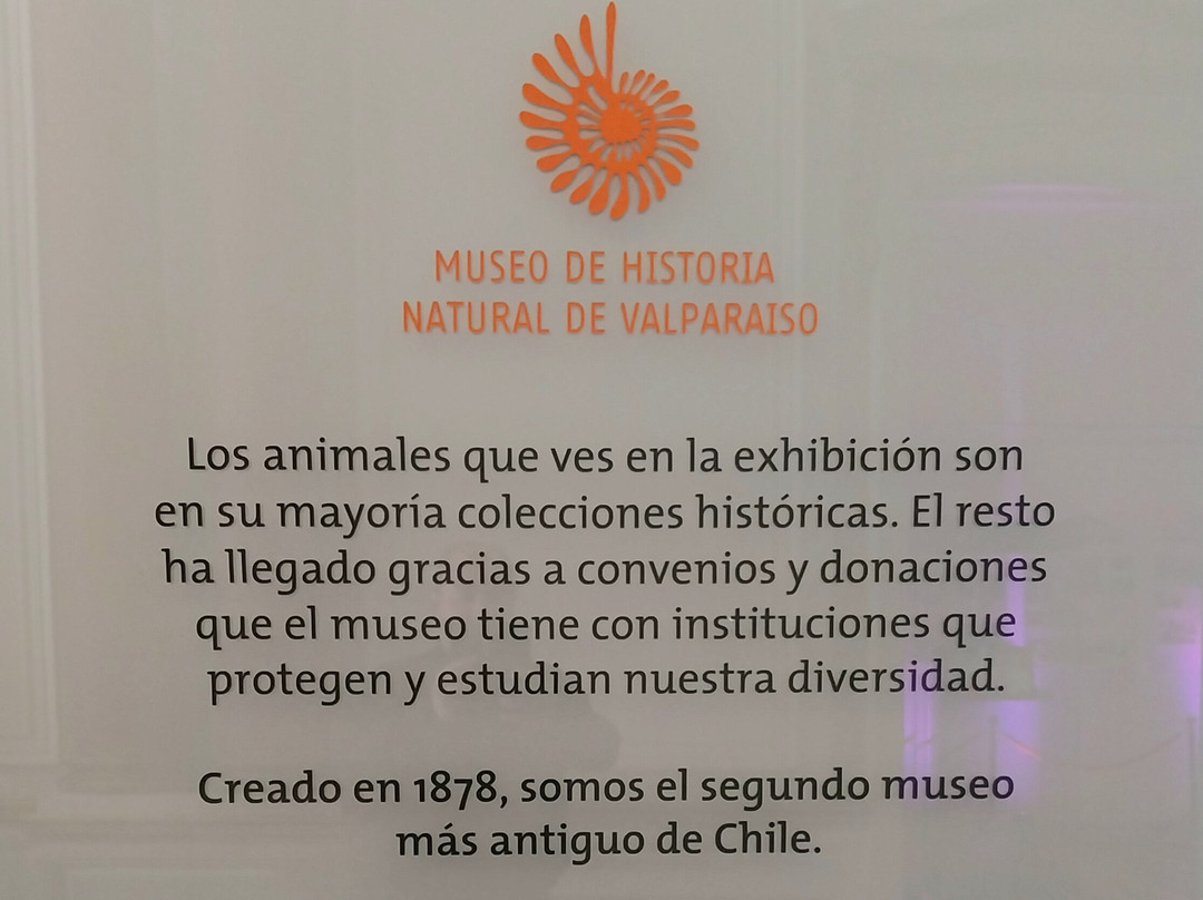 Museo de Historia Natural de Valparaiso-瓦尔帕莱索必去景点
