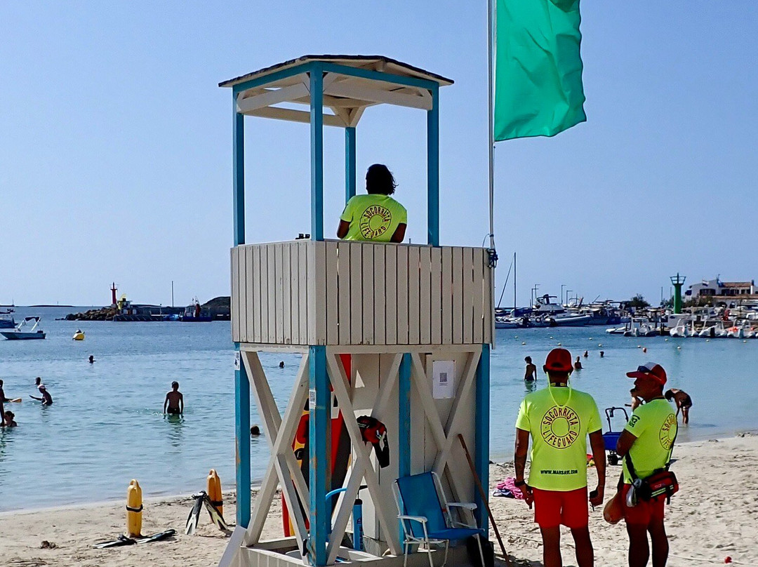 Playa Es Port景点图片