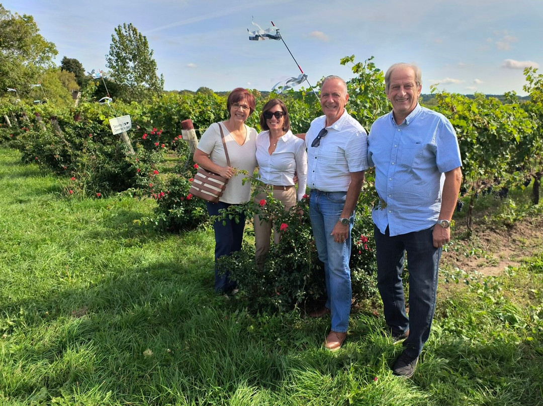 Villa Romana Estate Winery-林肯必去景点