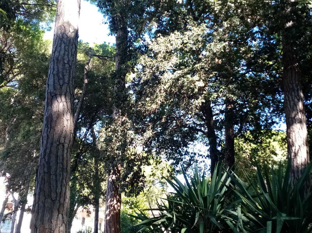 Pineta di Eraclea Mare-Eraclea Mare必去景点