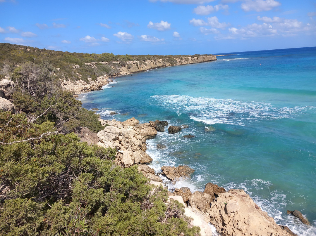 Aphrodite Safari Tours-Neo Chorion必去景点