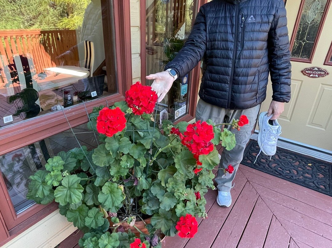 路尽头民宿主图