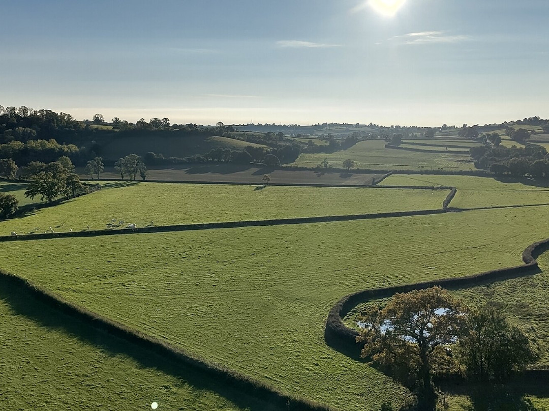 Montgolfieres en Charolais景点图片