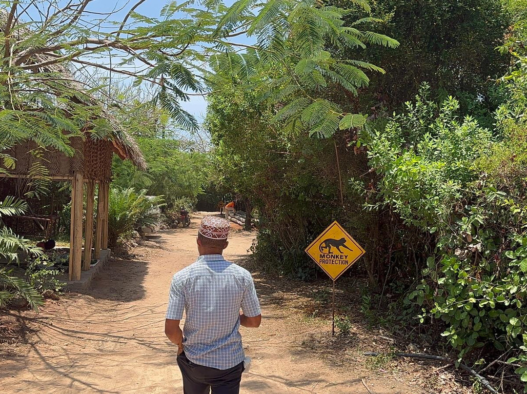 Zansixstar transfers-桑给巴尔市必去景点