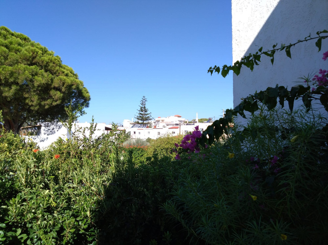 Apollon Hotel Apartments主图