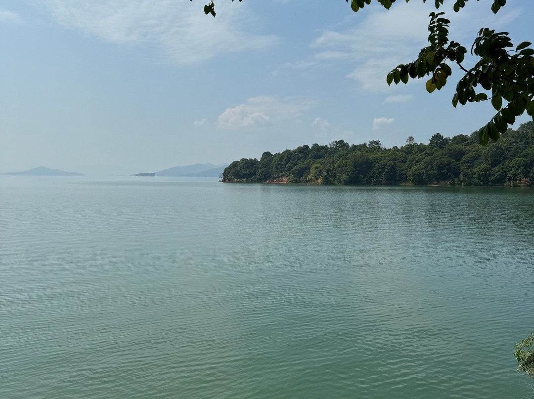 龙凤岛-东源县必去景点