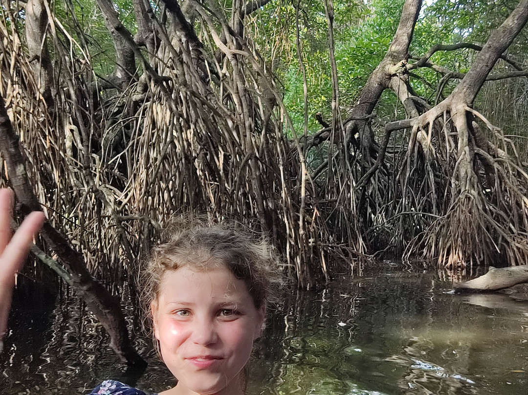 Sunshine Water Sports Centre-Aluthgama必去景点