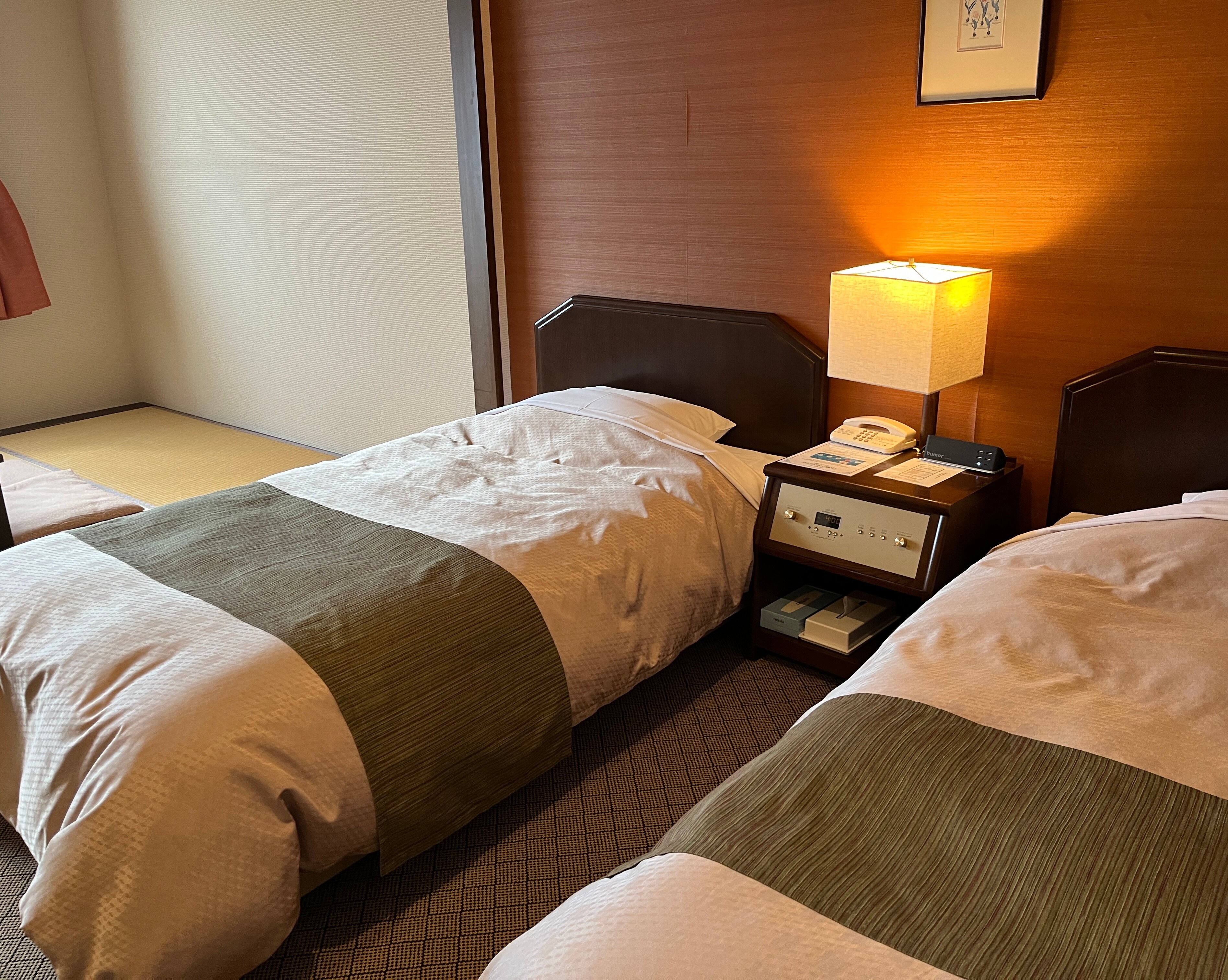 Sky Park Hotel-客卧