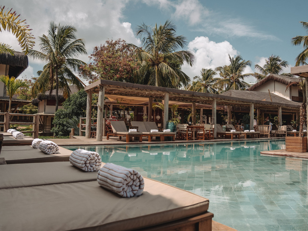 Cicchetti Sempre Vivo