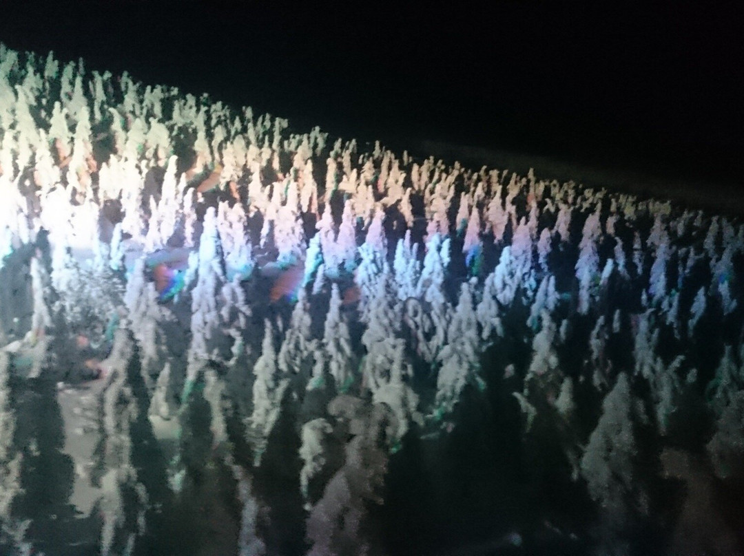 Frost Covered Trees of Zao景点图片