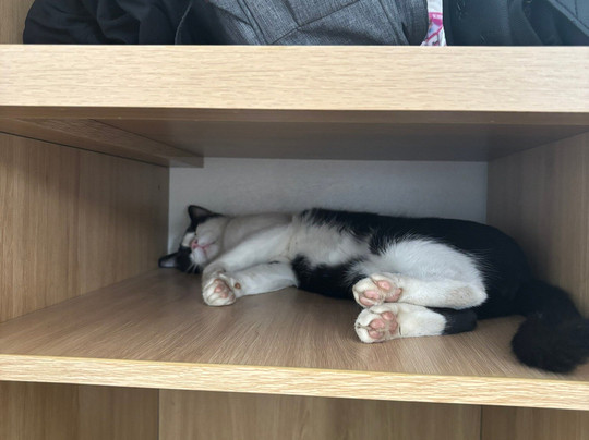 Hang Mua Boutique Hotel