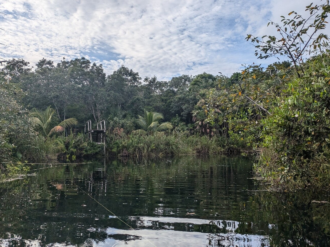 Cenote Crystal景点图片