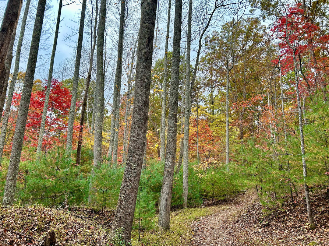Fairy Stone State Park景点图片